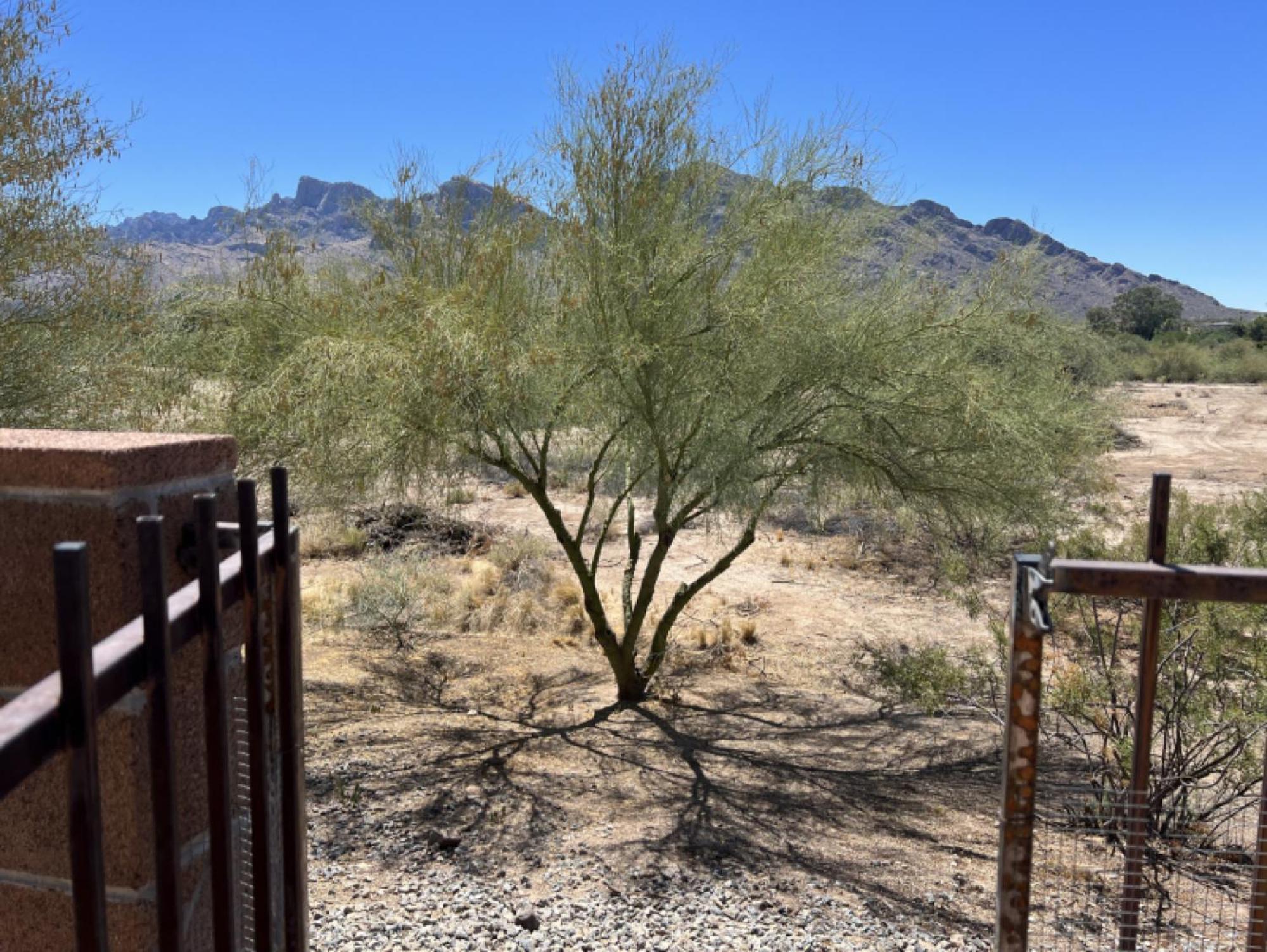 Private Home - Billiards, Mountain Views, Private Desert Access, Hoa Pool & Spa, Bbq, At Lambert Park - Bourbondale Tucson Exterior foto